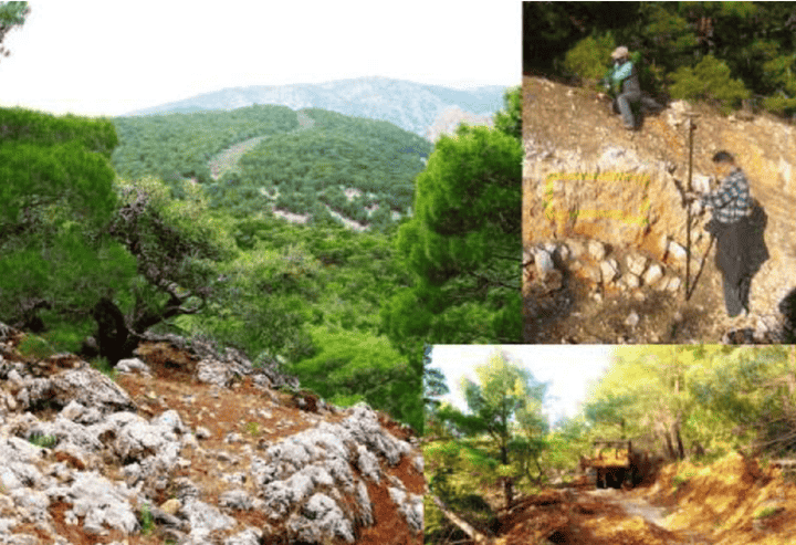 A collage showing a lush forested mountainous area, individuals working on a rocky slope, and a yellow construction vehicle on a forest path, illustrating reforestation and forest road projects.